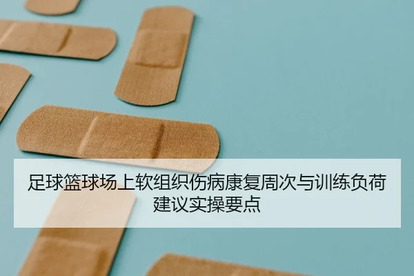 足球篮球场上软组织伤病康复周次与训练负荷建议实操要点