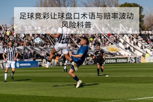 中超球队夏窗转会后首发阵容与战术调整前瞻