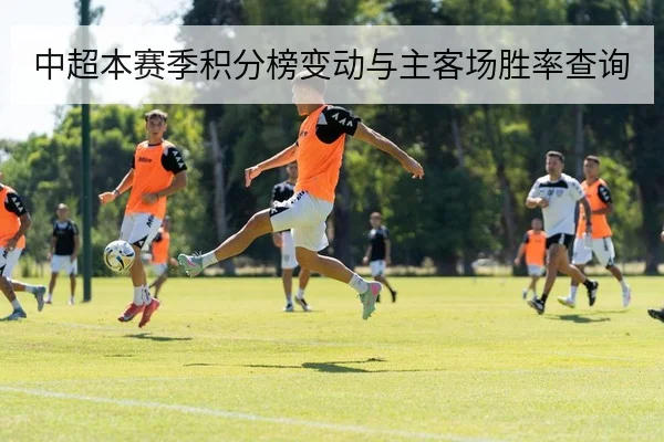 中超本赛季积分榜变动与主客场胜率查询